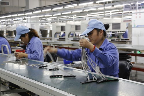 蘋果代工廠遷往印度 庫克笑容背后的爭議與網友擔憂