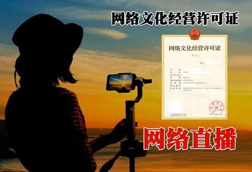 北京順義區(qū)網(wǎng)絡(luò)文化經(jīng)營(yíng)許可證代辦費(fèi)用詳解與急速辦理指南