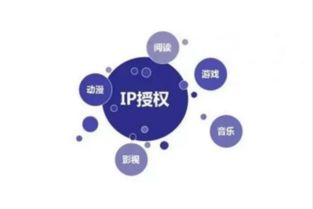 《新疆味道》 一部紀(jì)錄片的網(wǎng)絡(luò)文化創(chuàng)作與市場(chǎng)運(yùn)營(yíng)之道